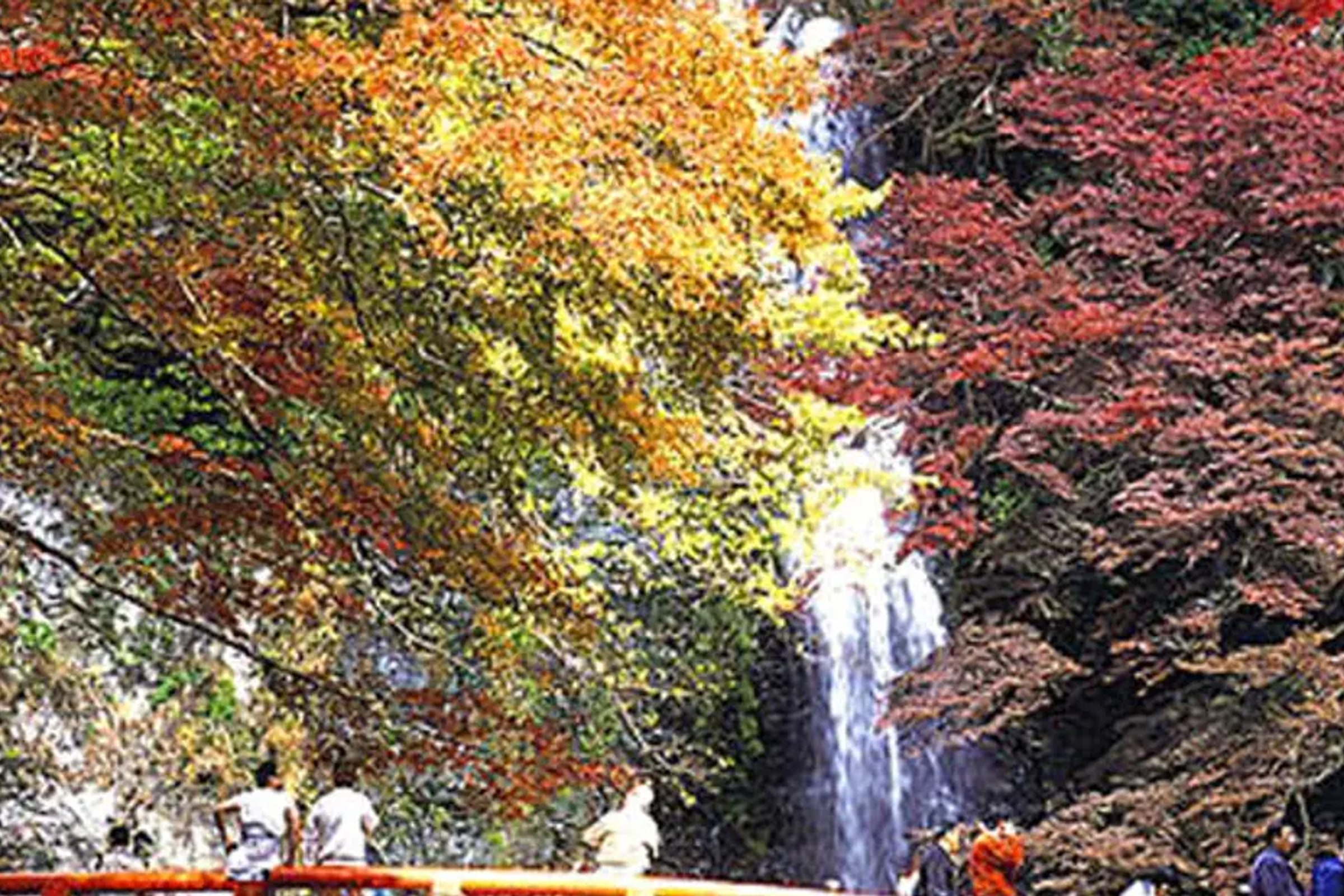 Minoh Waterfall and nature walk through the Minoh Park